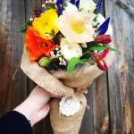 Posy Blossom